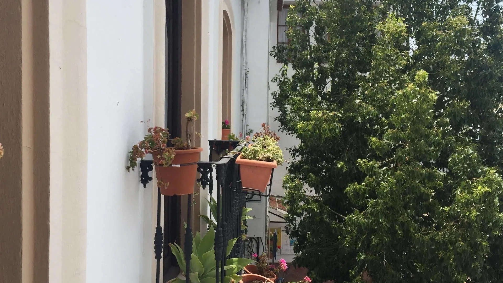 Ξενοδοχείο Hotel-Museo Molino De Los Abuelos Comares